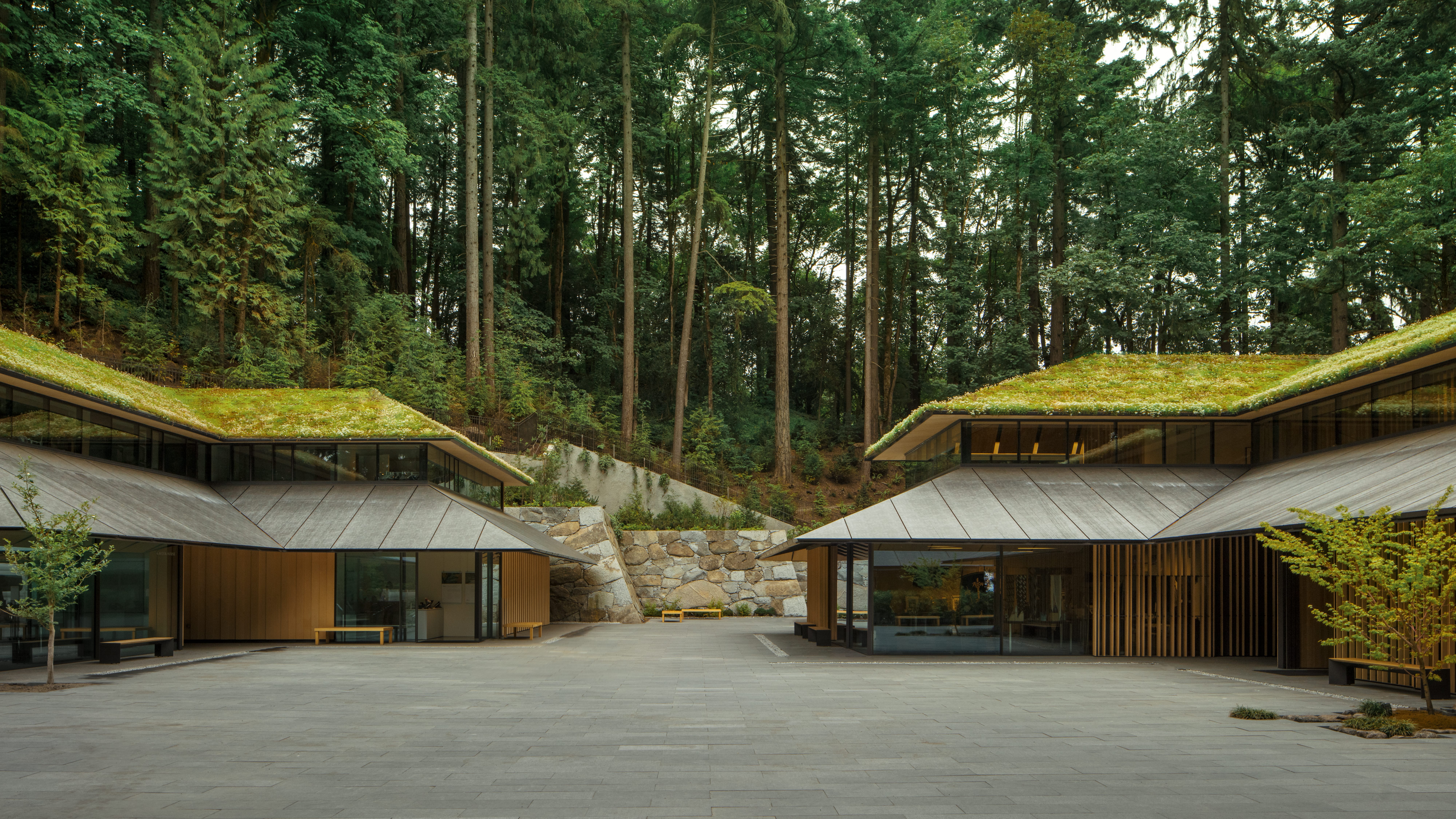 a couryard with building with green roofs