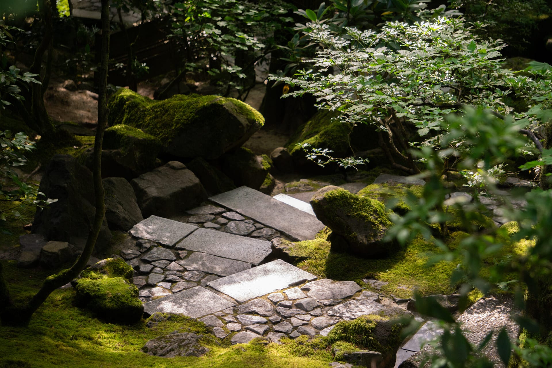 Dappled sunlight on a stone staircase.