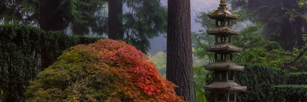 A tall stone lantern stylized like a pagoda next to a maple.