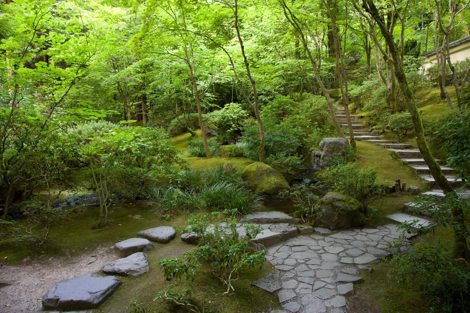Natural Garden – Portland Japanese Garden