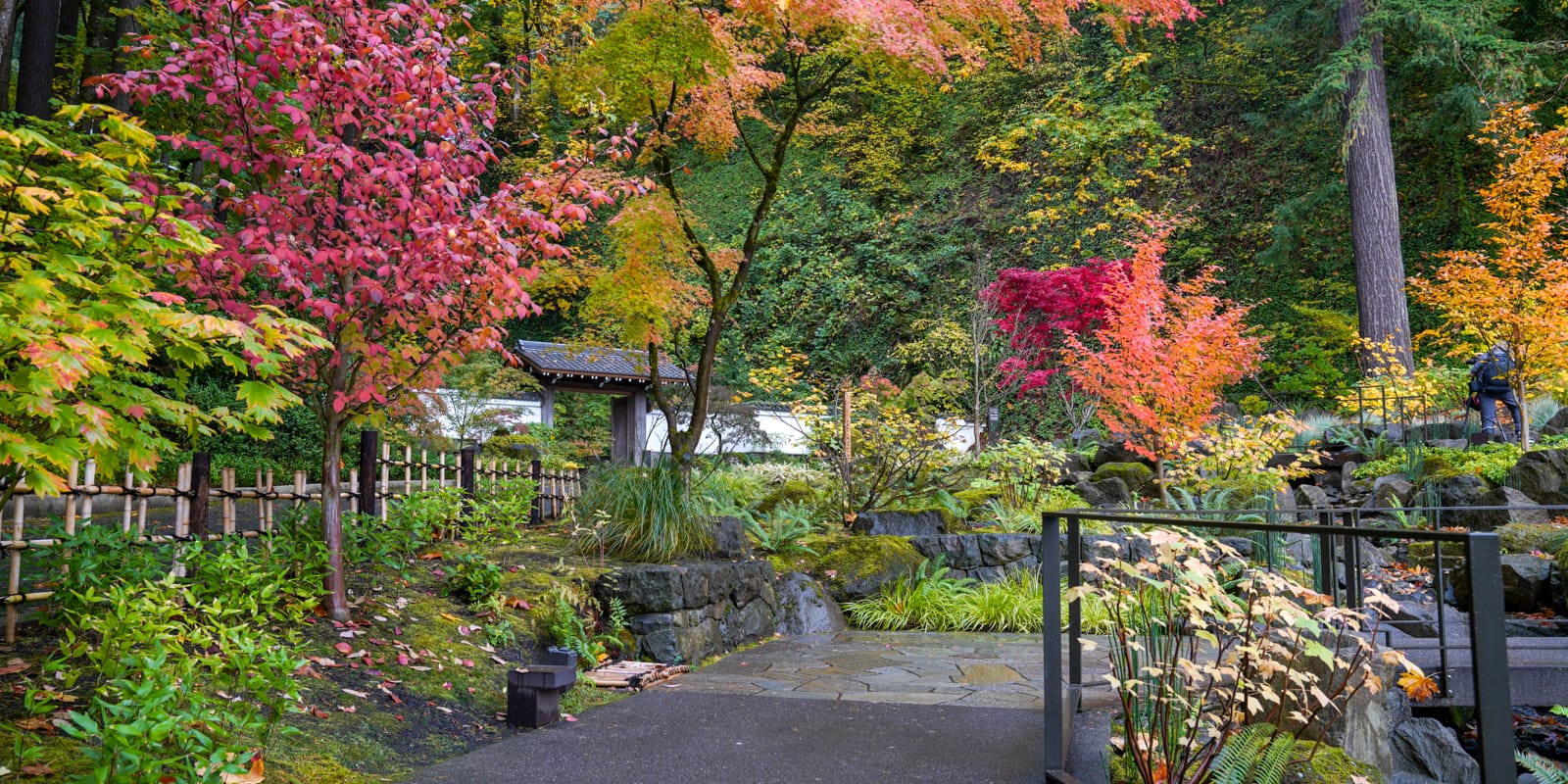 Fall Colors HD-20191022- by Chris Ruggles-2