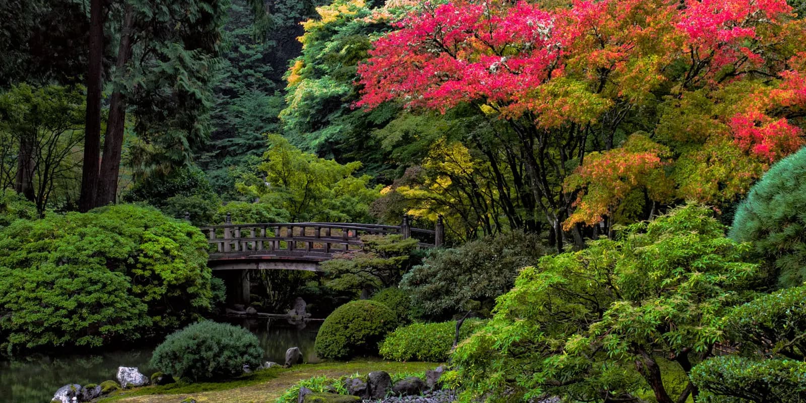 Fall Moonbridge with Pond_Roman Johnston