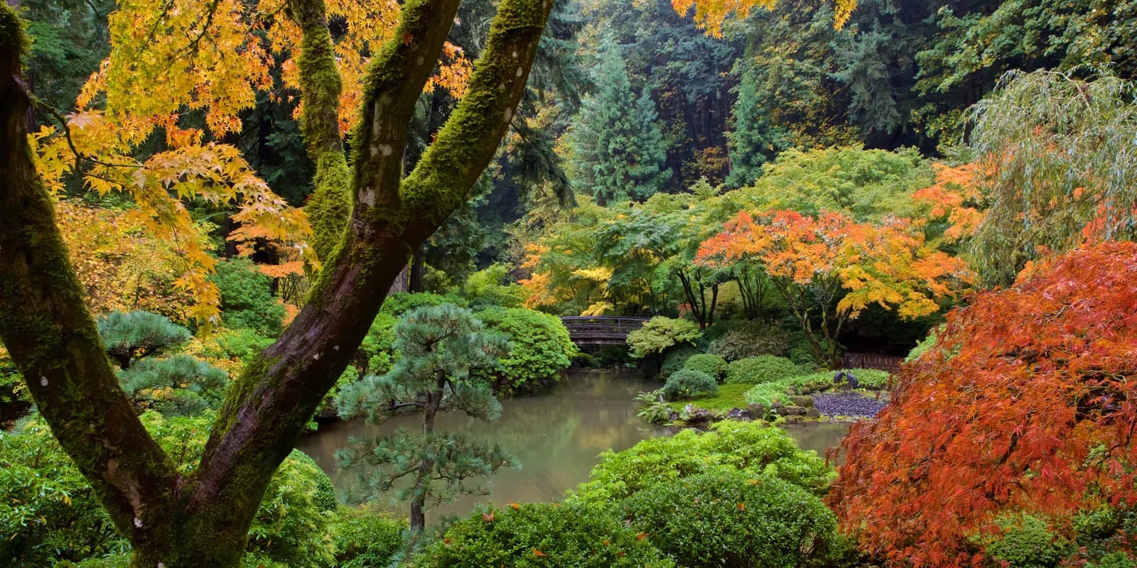 HDSereneScapes Still Photos