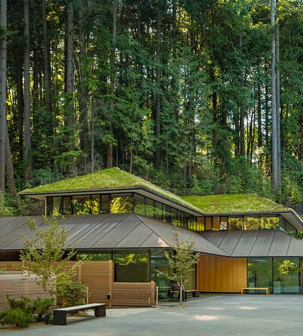 A Legacy-Making Gift – Portland Japanese Garden