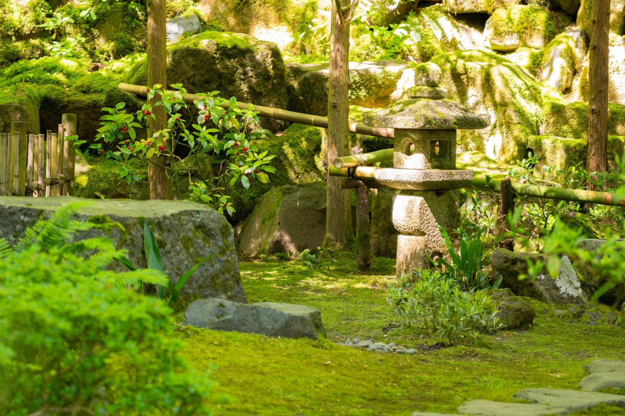 moss and a stone lantern
