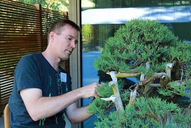Bonsai: the Art of Longevity  Portland Japanese Garden
