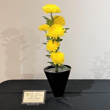 An exquisite floral display arranged in a black bowl on a table, crafted by the Ikenobo School of Ikebana.