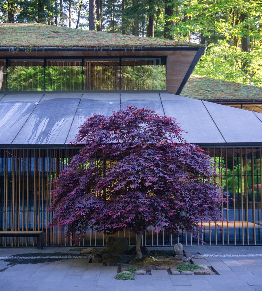 Ellie M. Hill Bonsai Terrace - Portland Japanese Garden