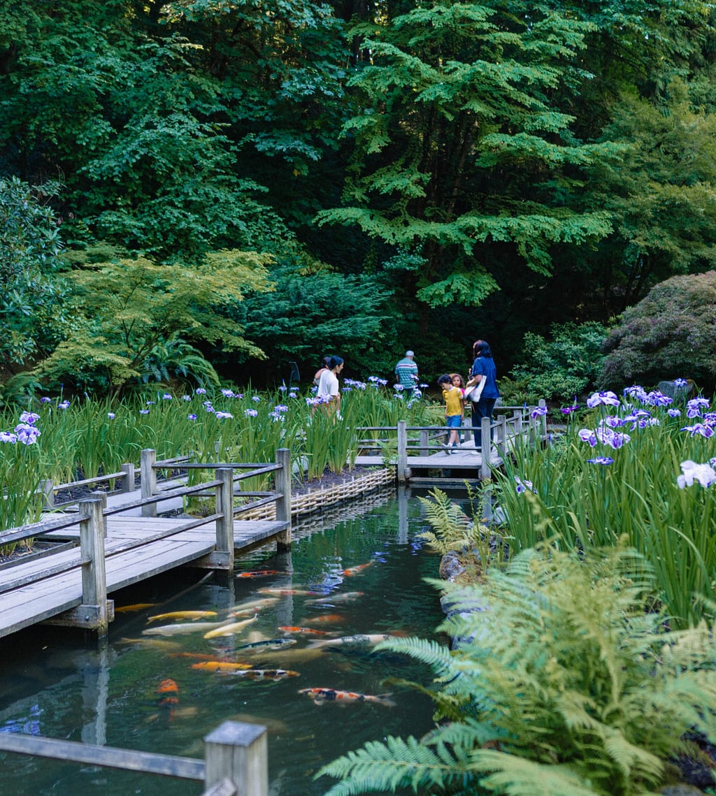 Portland Japanese Garden