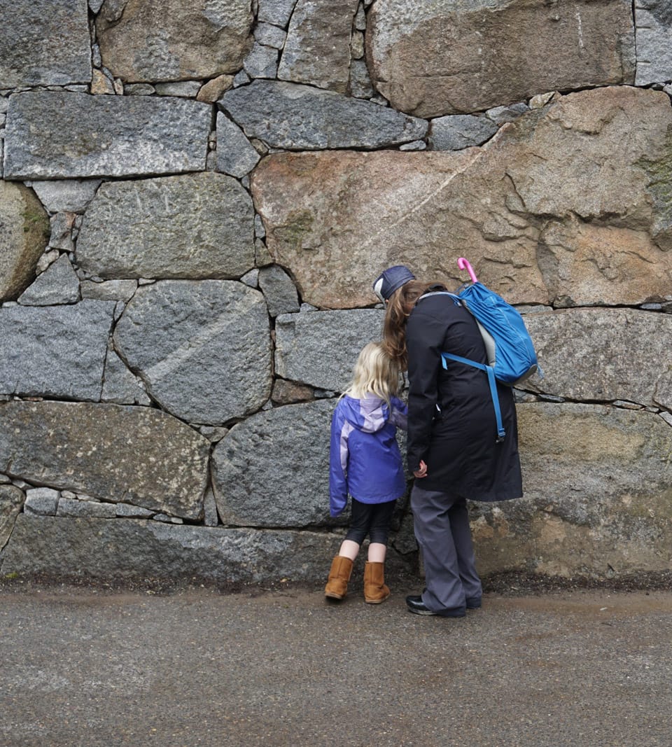 Zagunis Castle Wall - Portland Japanese Garden