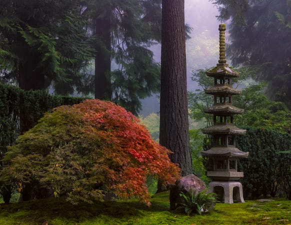 A Legacy-Making Gift – Portland Japanese Garden