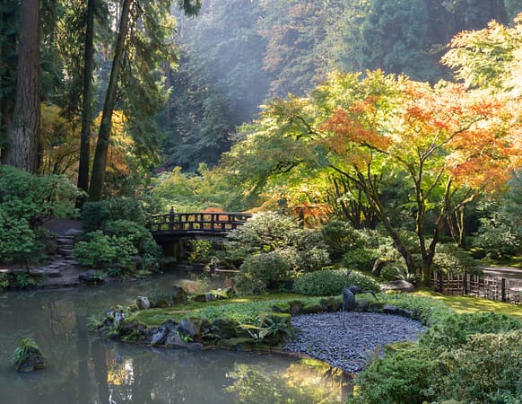 fall colors in a garden with ponds and a wooden bridge