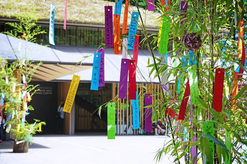 Color pieces of paper known as tanzaku that are displayed during the traditional Japanese holiday Tanabata.