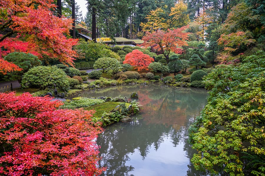 Fall Color Update: October 22, 2019 – Portland Japanese Garden
