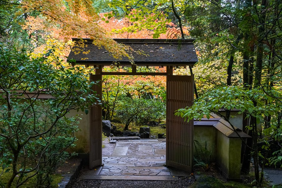 Fall Color Update: October 22, 2019 – Portland Japanese Garden