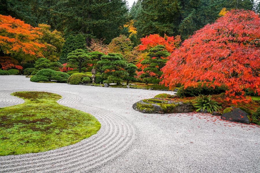特売❗️リリパット269☆ ENGLISH GARDEN AUTUMN HUES Fall Color Update: October 22, 2019 – Portland Japanese Garden