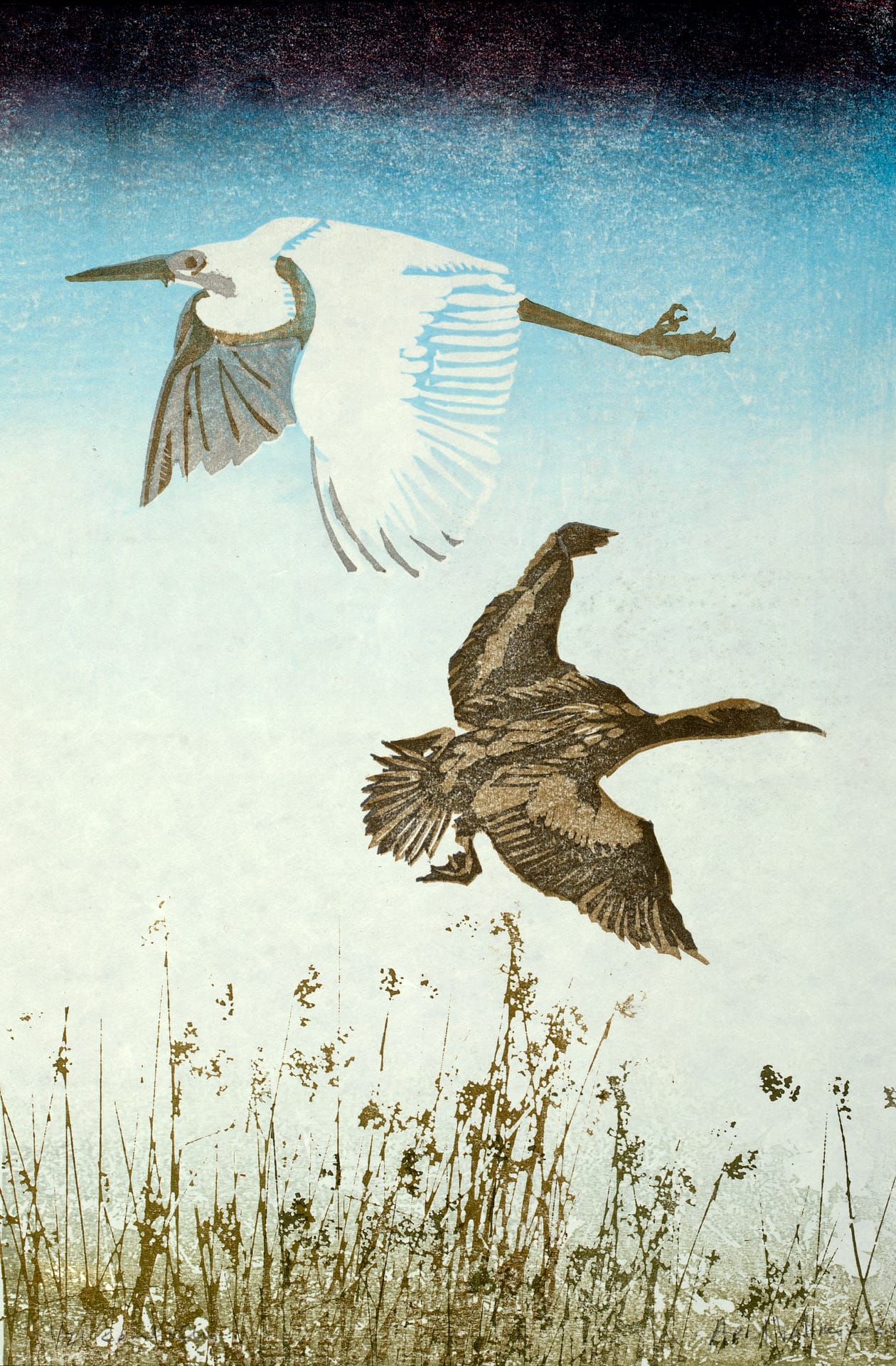 Rooted in Nature: Artist Talk with Printmaker April Vollmer