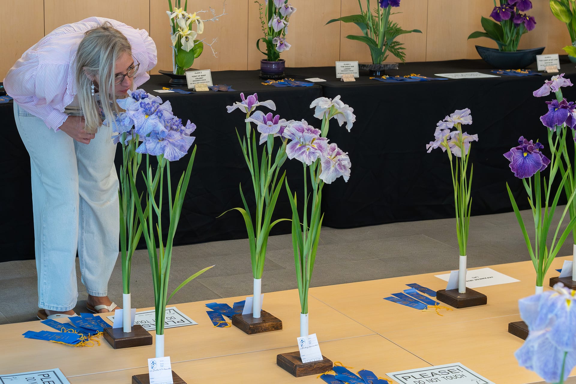 a person leans down closer to look at displays of irises in a room