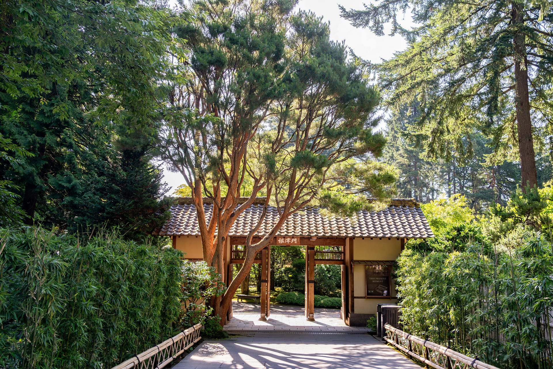 a wooden gate with a large red pine in front