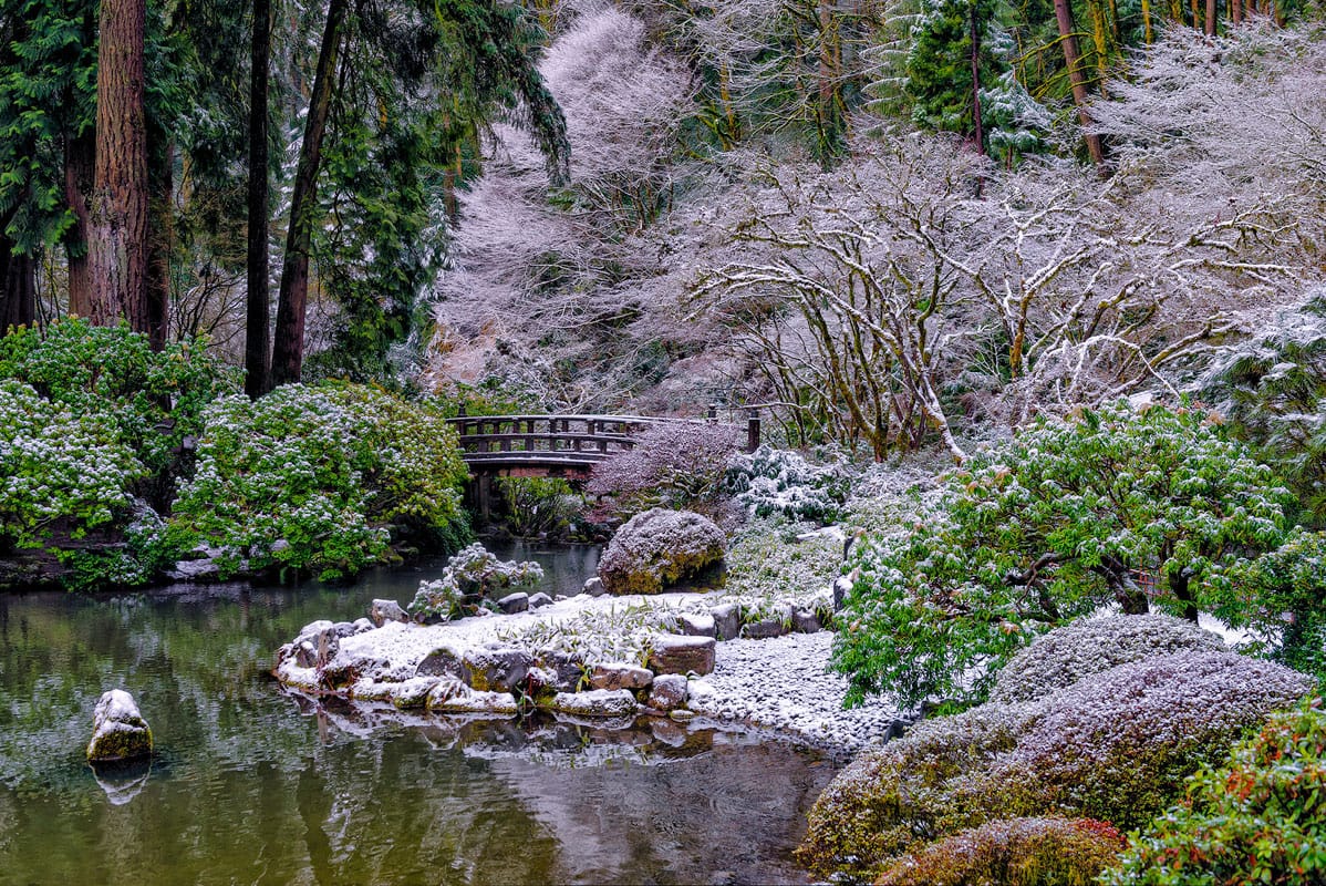 07. December - roman johnston Main_RJ1_5578 (websize)