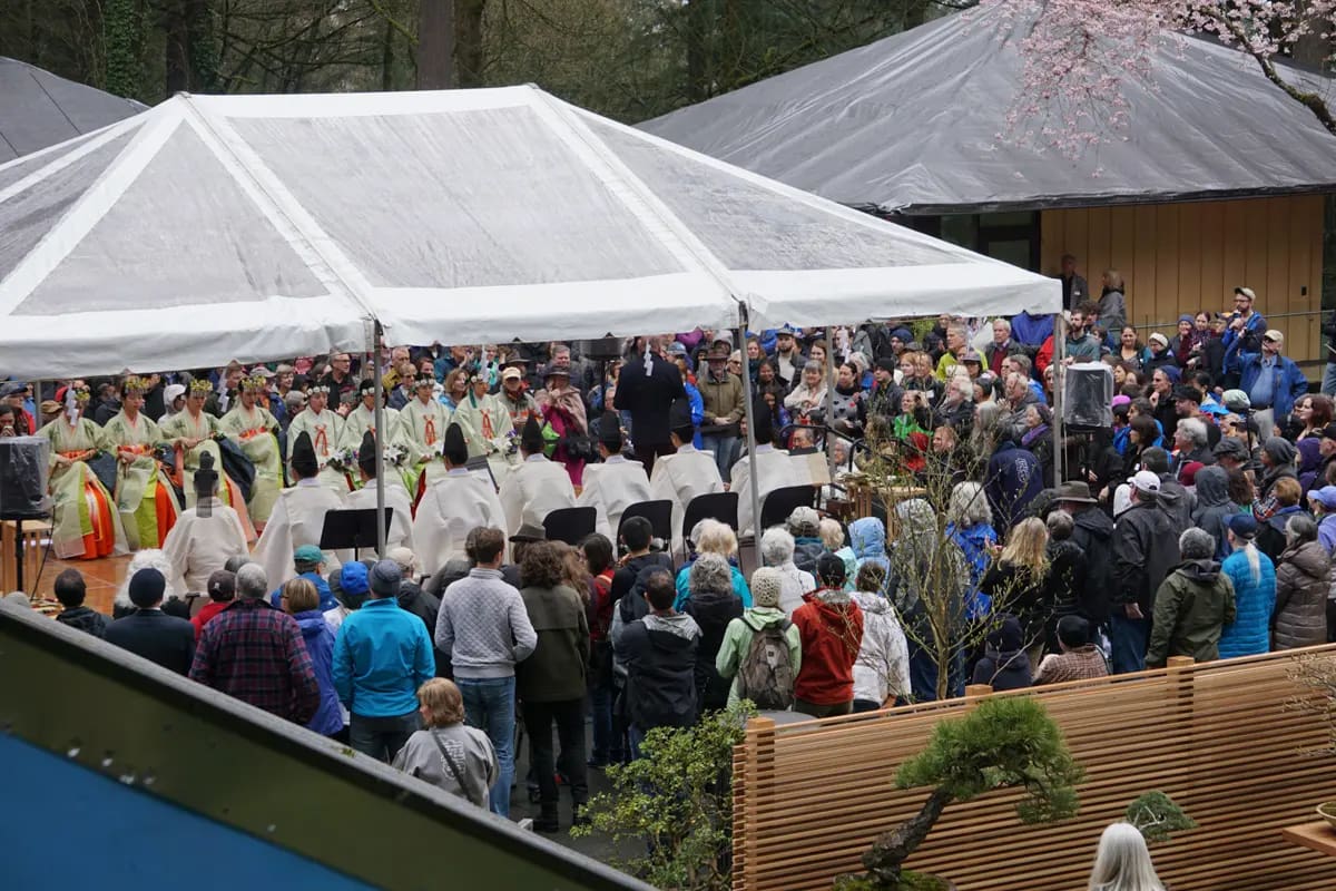 Tsurugaoka Hachimangu Blessing from Grand Opening - 2017-04-01 - DSC04181