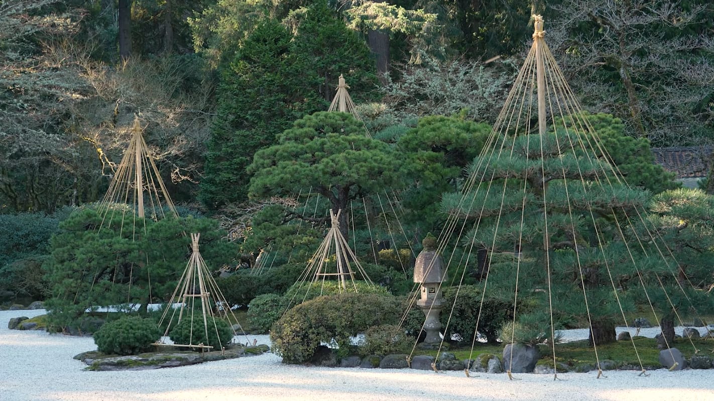 2026-02-Winter-Hero-Video