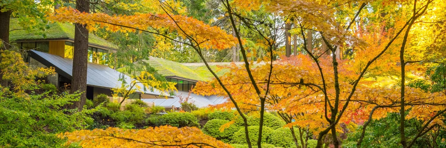 201710_FallColors-90-copy