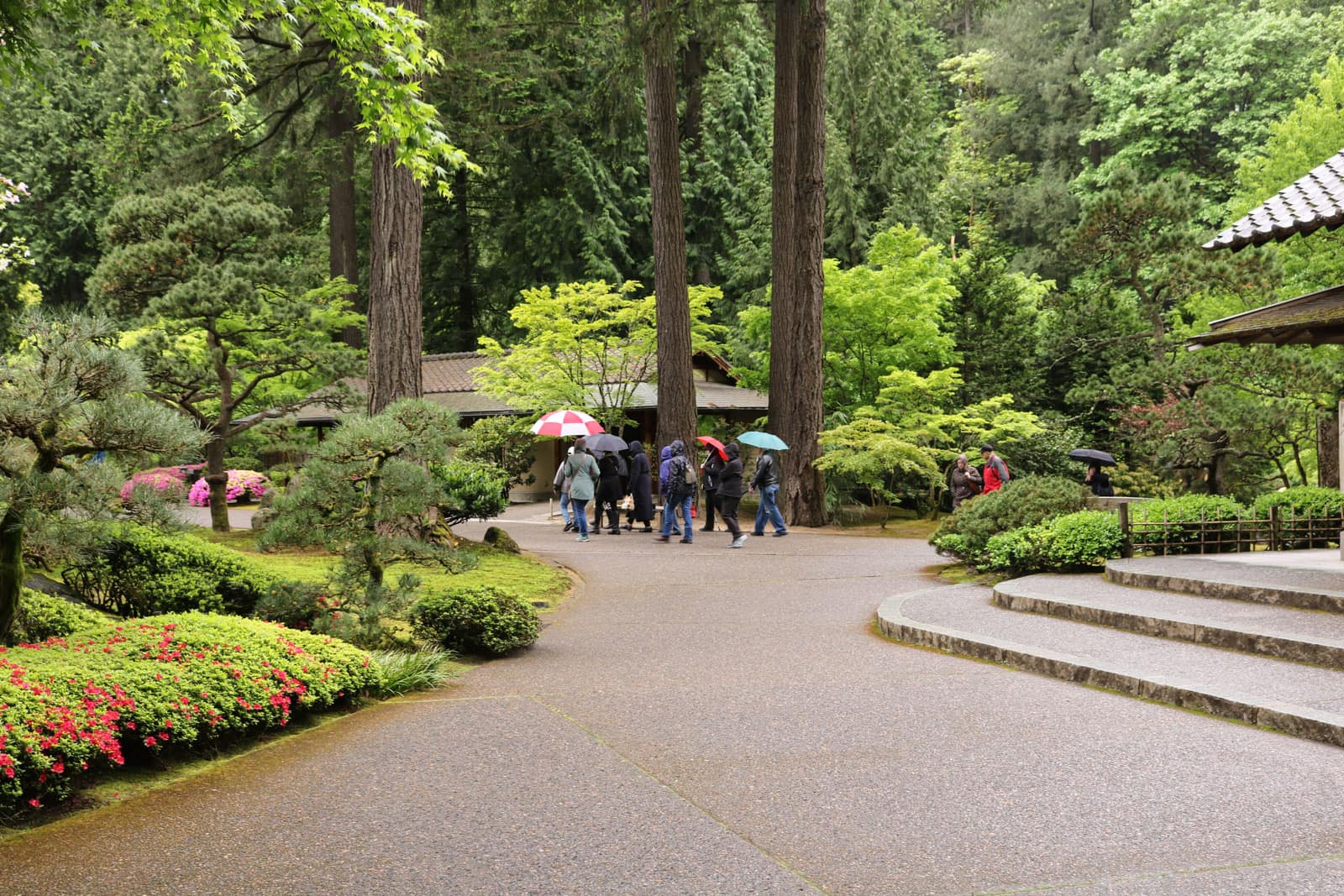 A Symphony of Green: the Plants of the Portland Japanese Garden