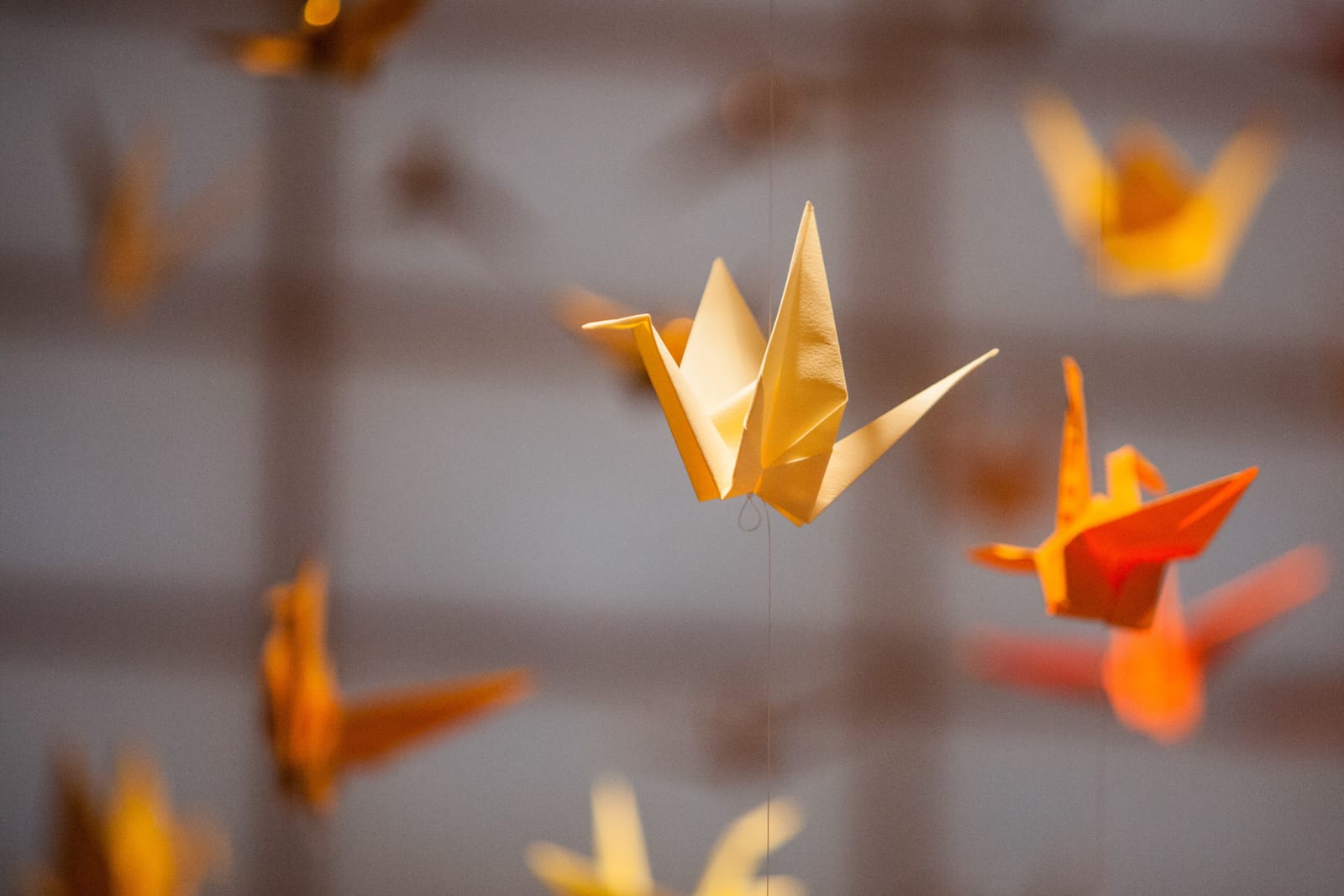 Night of A Thousand Cranes – Portland Japanese Garden