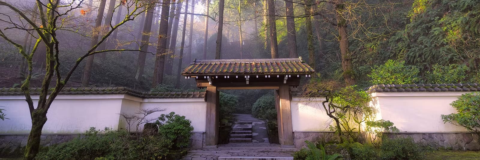 Antique-Gate-Winter_Roman-Johnston-copy