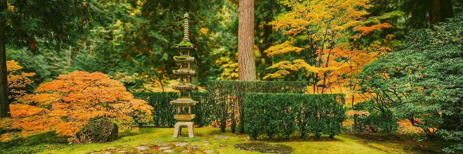 Marketing_HQ-Images_OCT-2025_Sapporo-Lantern_Final134