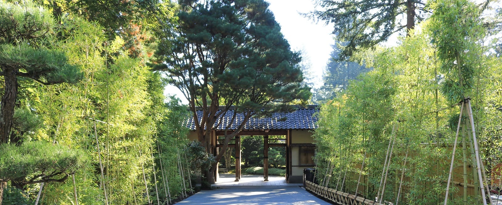 HR_PJG_Julia Taylor_Fall Colors 2017_IMG_0863_Resize