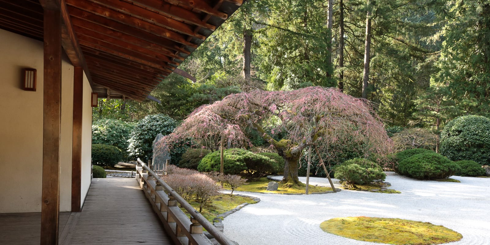 Julia Taylor_LR_Portland Japanese Garden_March 2018_IMG_3982