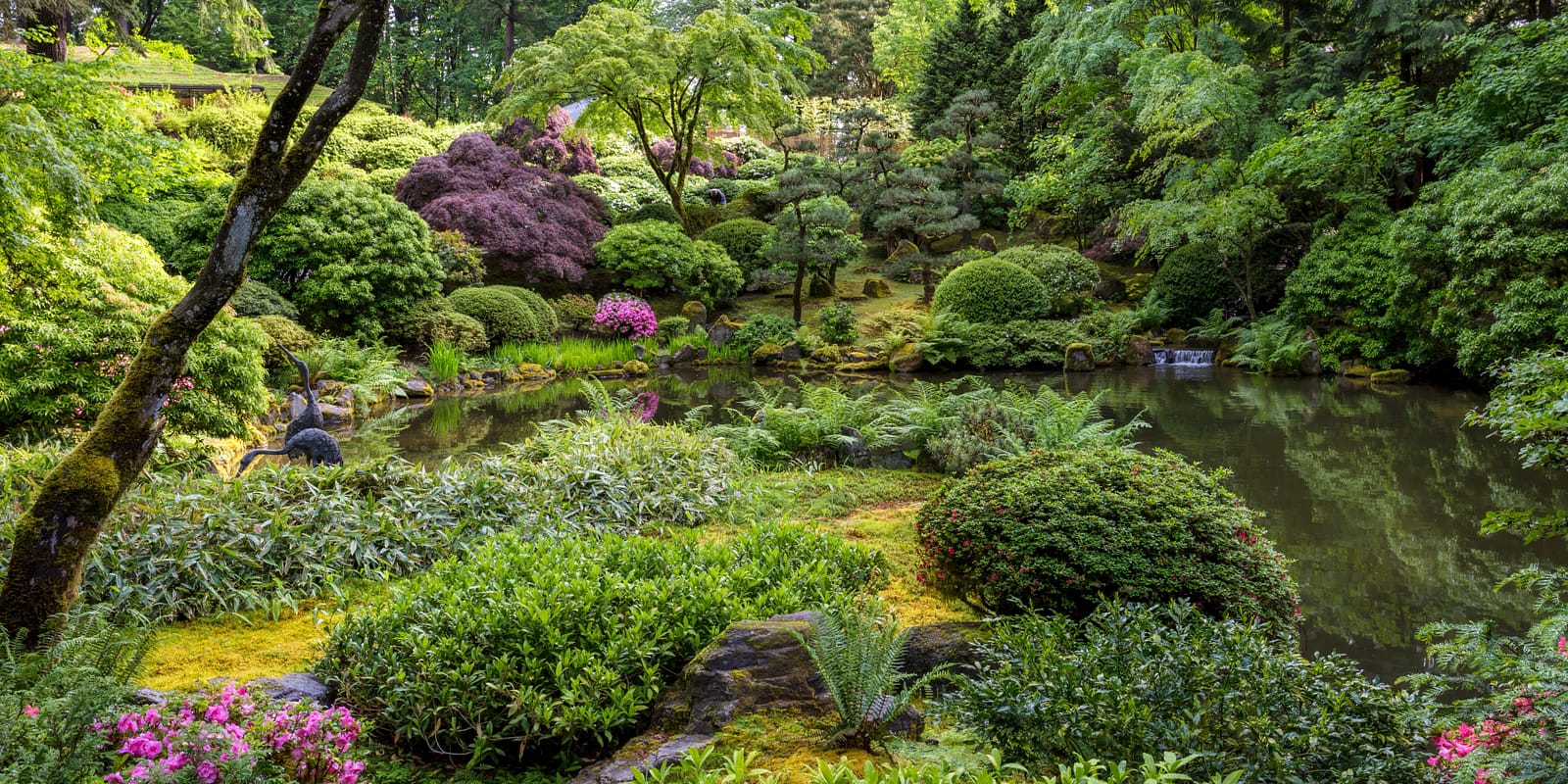 Late Spring Early Summer by Mike Centioli - 2017-05-31 - Portland Japanese Garden, May 2017-39