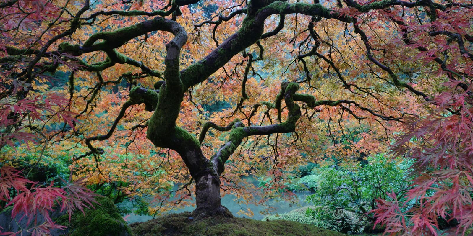 Fall Color Photos by Tyler Quinn - 2017-10-23 - DSC06893