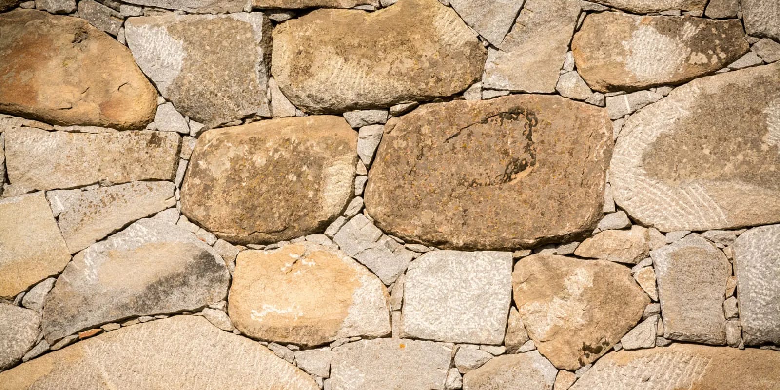 Castle Wall. Photo by Bruce Forster