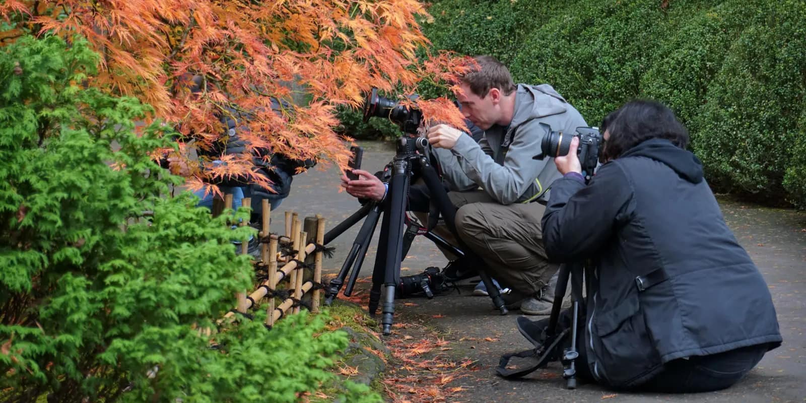 Fall 2016 by Tyler Quinn - 2016-10-24 - DSC03258