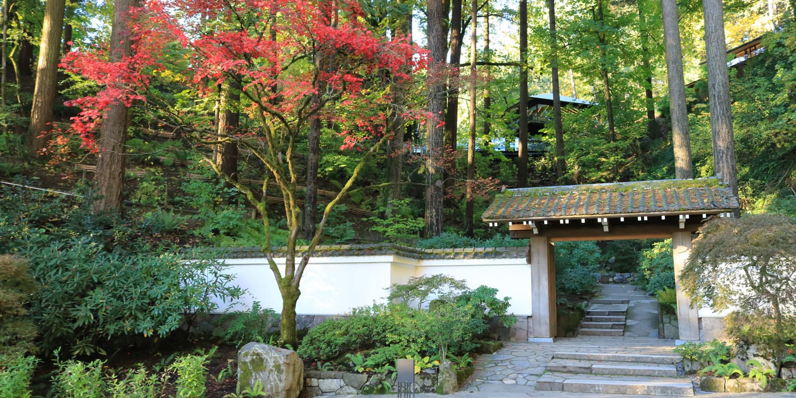 LR_Portland Japanese Garden_Fall Colors_Julia Taylor_IMG_1156