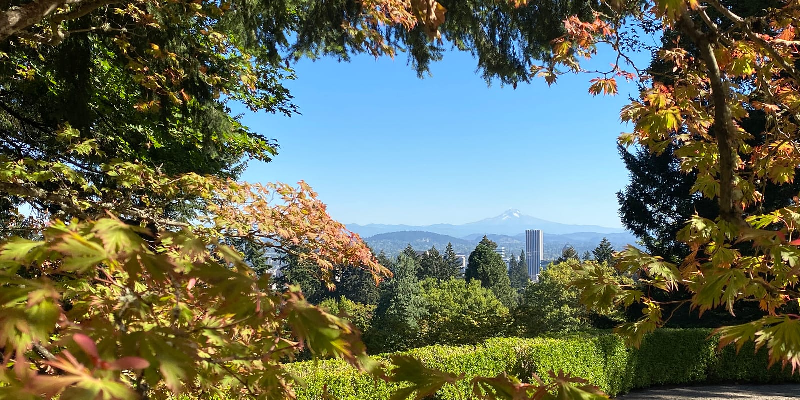 Photo Sep 29, 1 12 49 PM