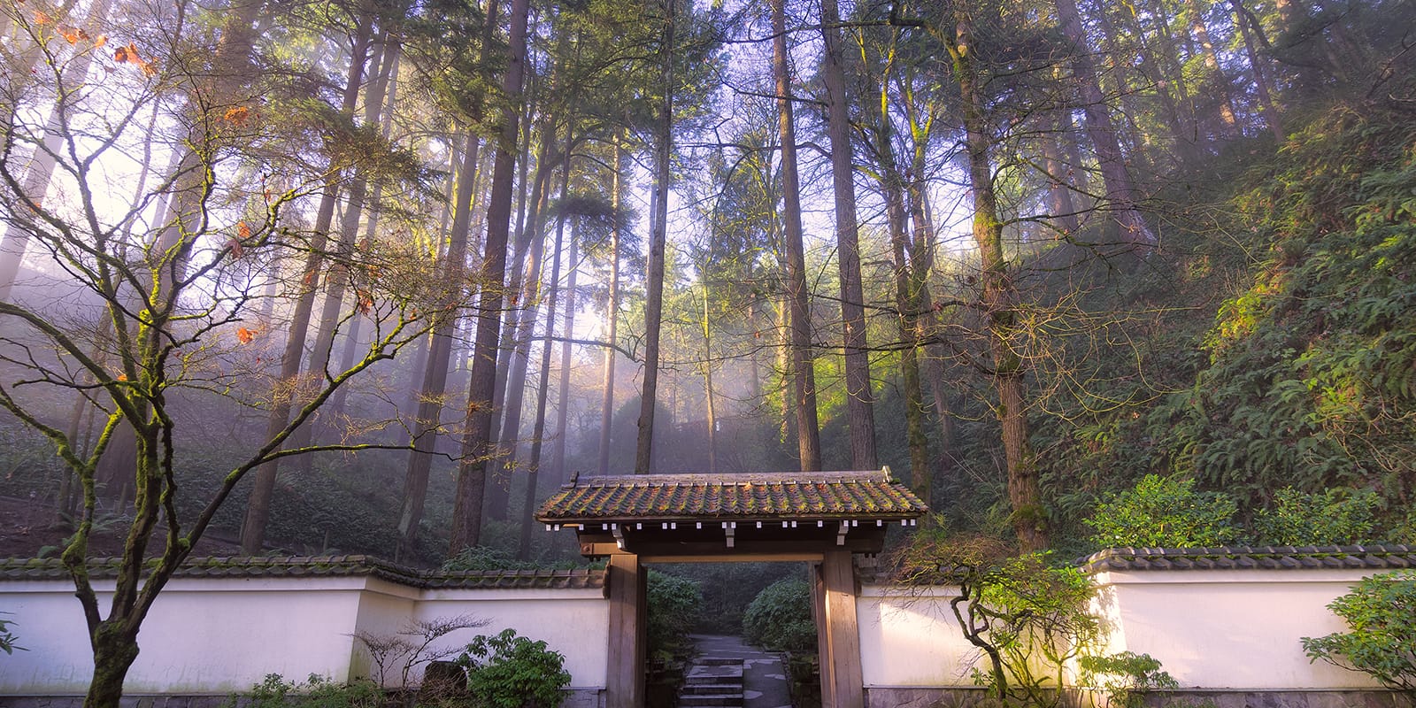 Antique Gate Winter_Roman Johnston