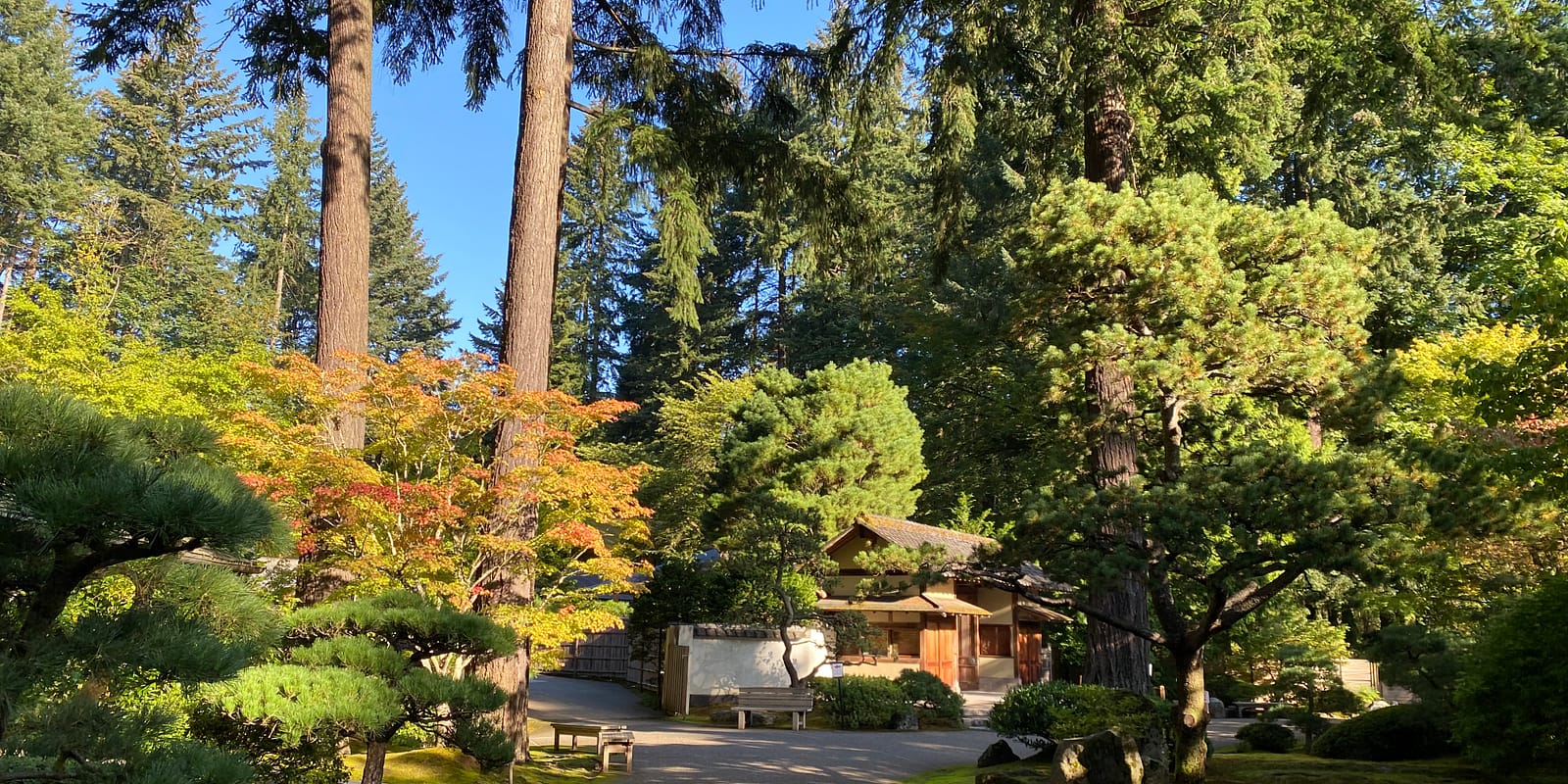 Photo Oct 06, 9 39 41 AM