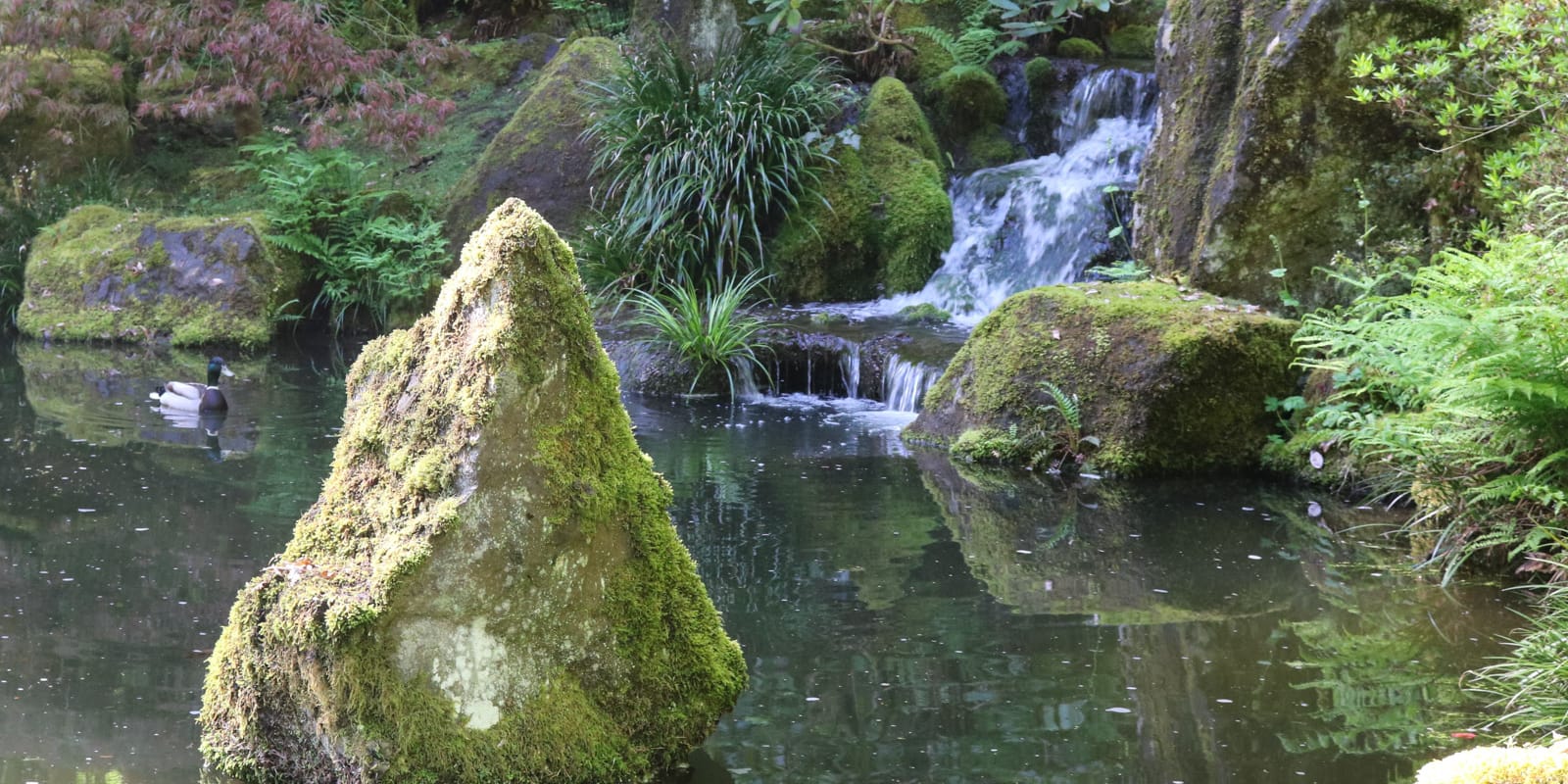 Julia Taylor_May 2017_IMG_5595