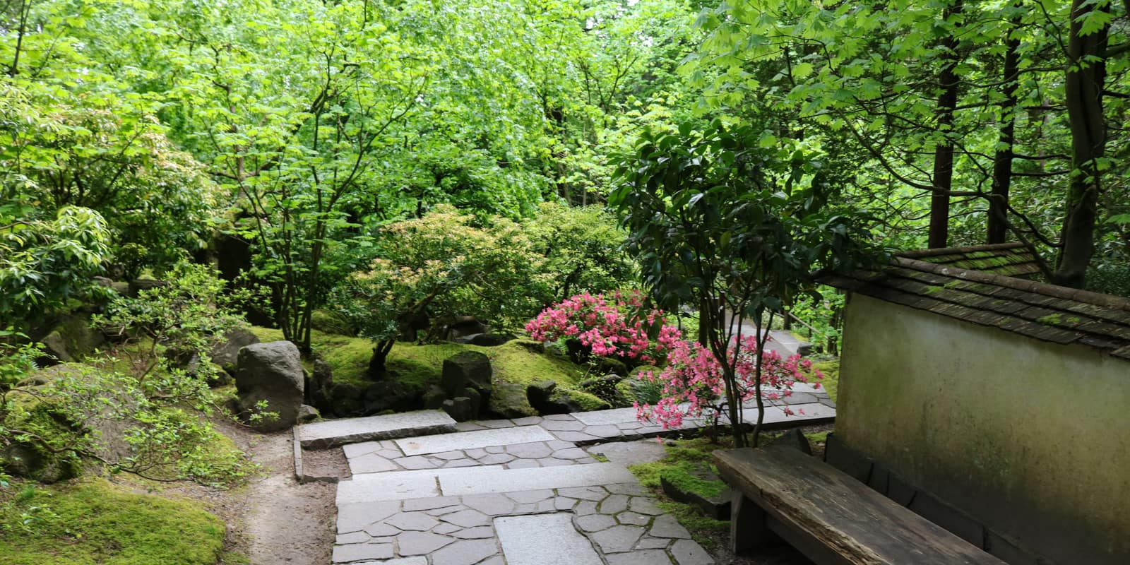 Julia Taylor_May 2017_IMG_6033