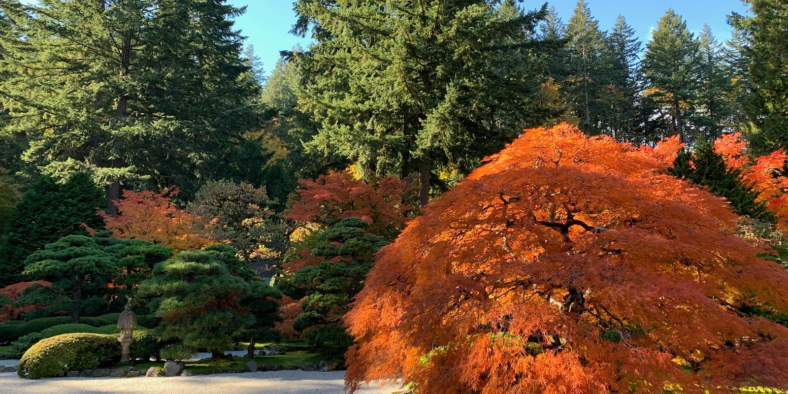 Photo Nov 02, 12 44 22 PM