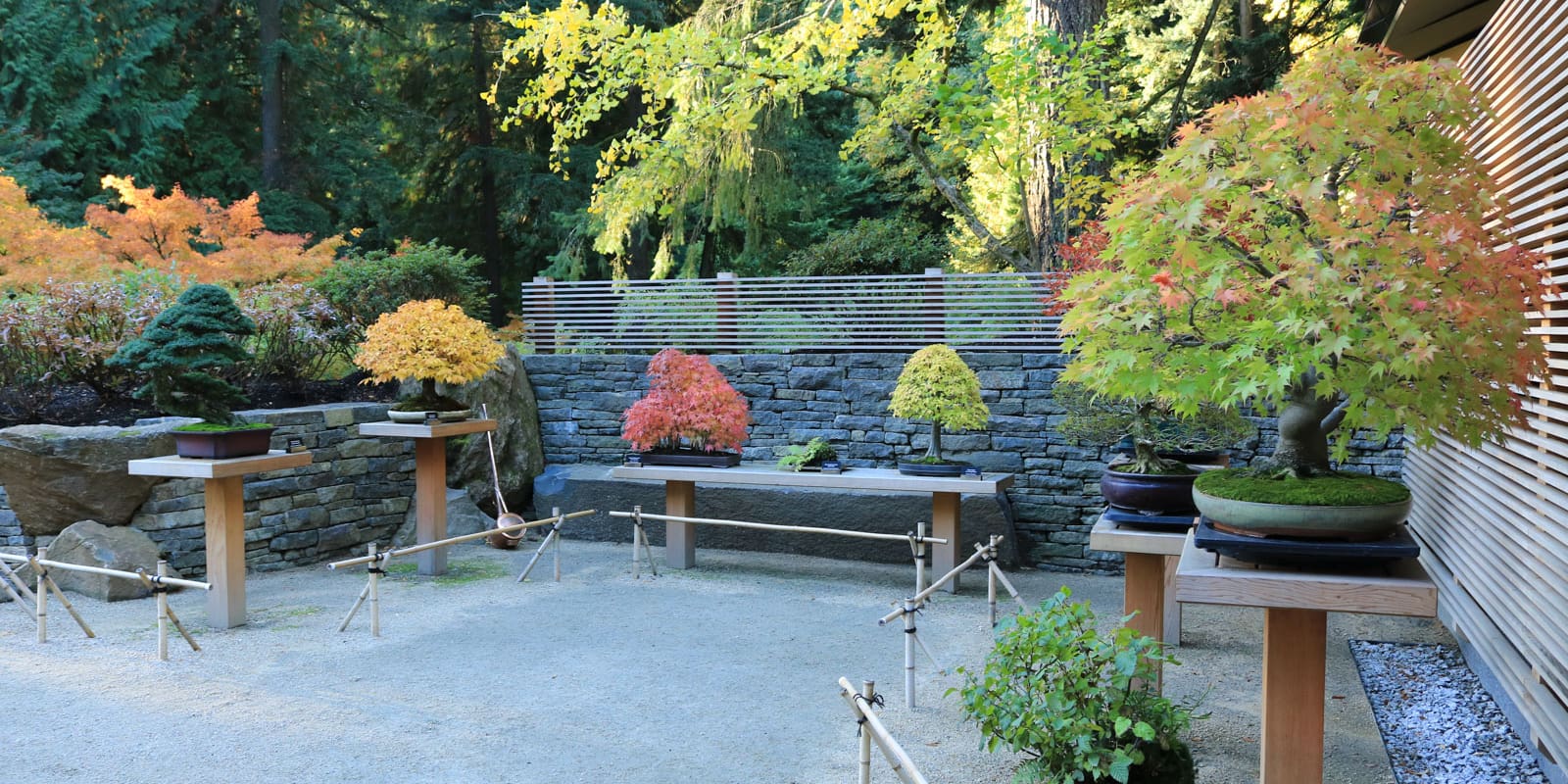 LR_Portland Japanese Garden_Fall Colors_Julia Taylor_IMG_1182