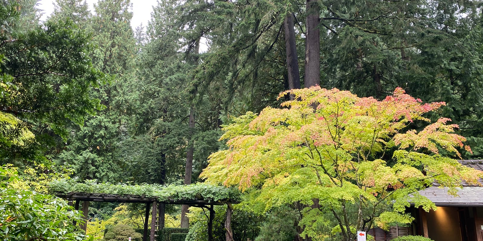 Photo Oct 13, 1 15 49 PM