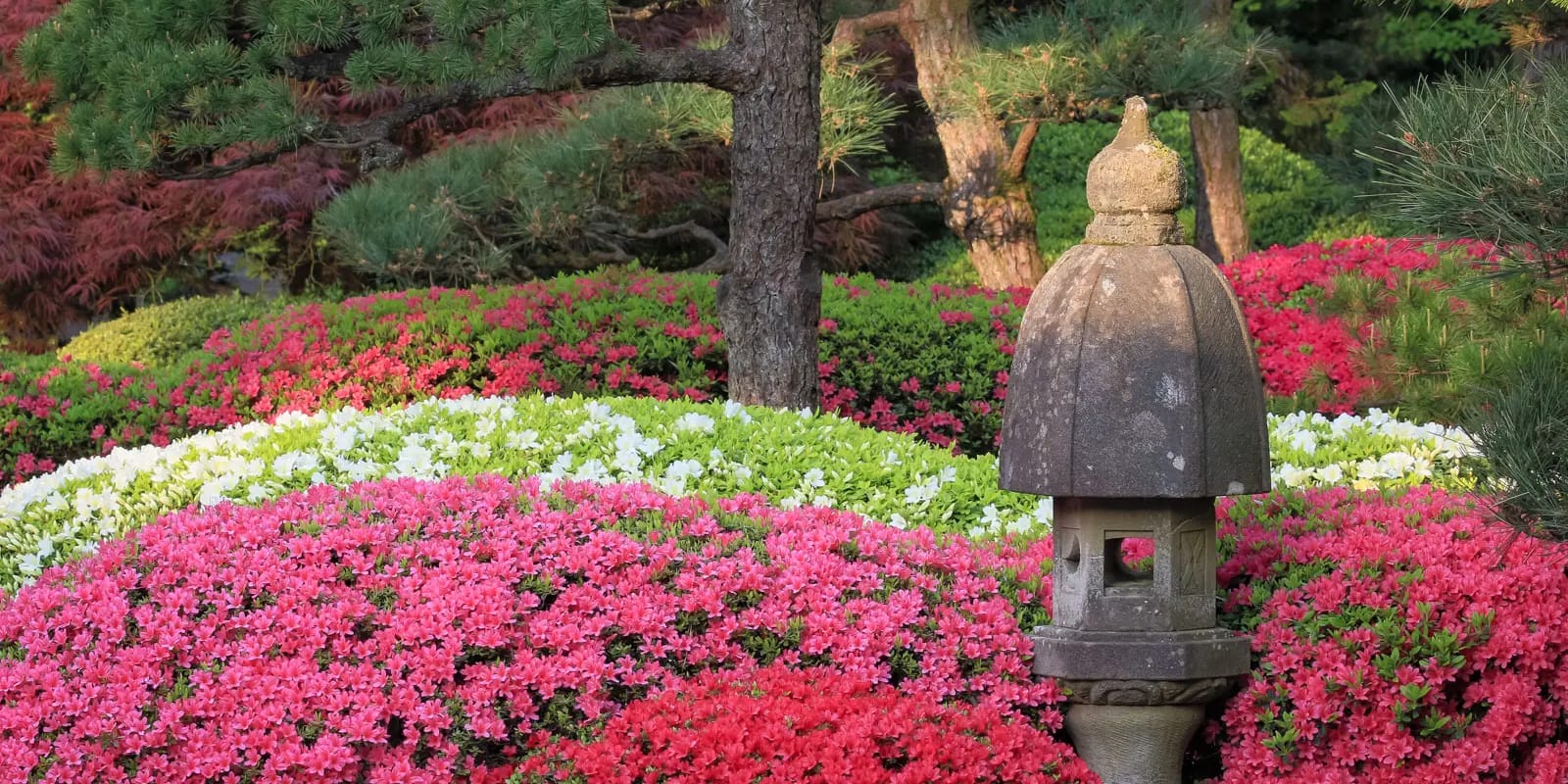 Page 13_William Sutton_spring-4