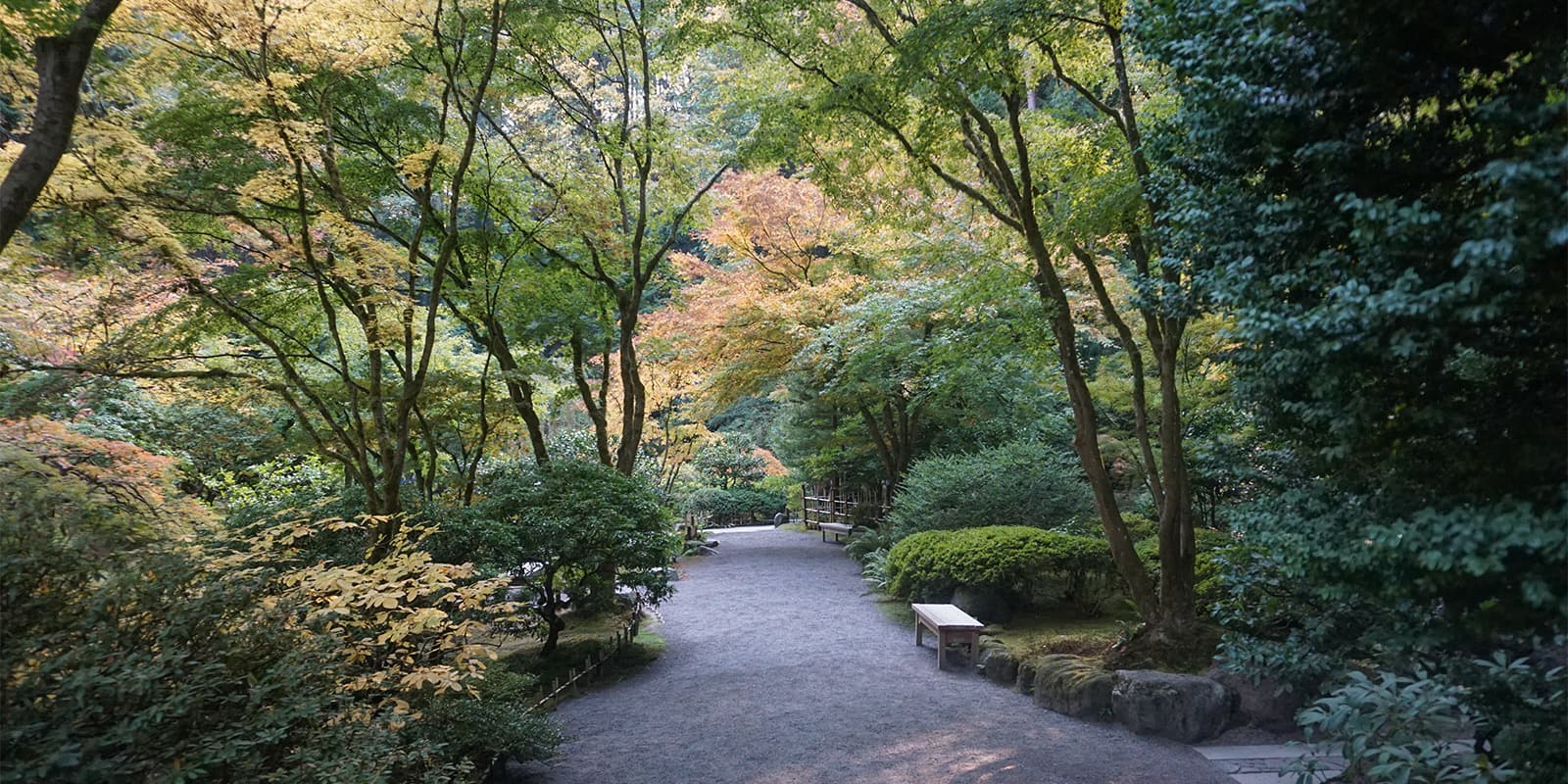 October Fall Photos of Portland Japanese Garden - 2018-10-22 - DSC01051_low