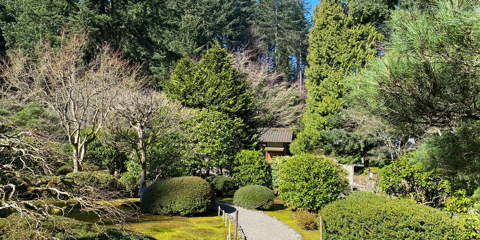 Photo Mar 11, 10 17 51 AM