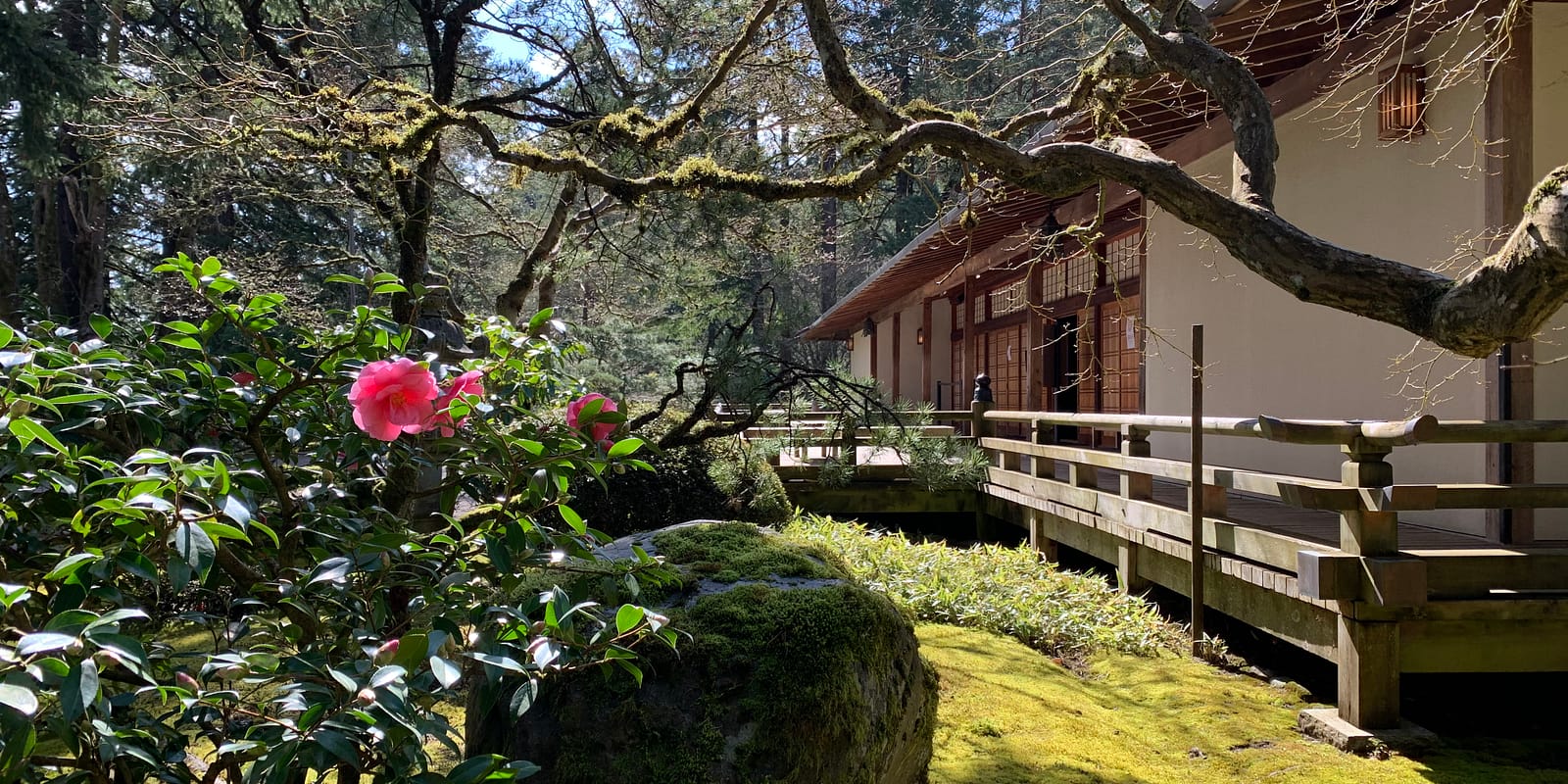 Photo Mar 23, 12 10 25 PM